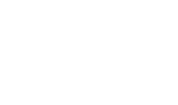 Animo Games