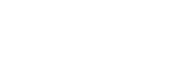BIP Lab (UChicago)