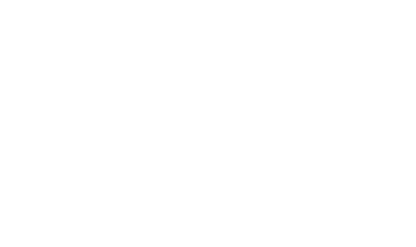 Euler Circle